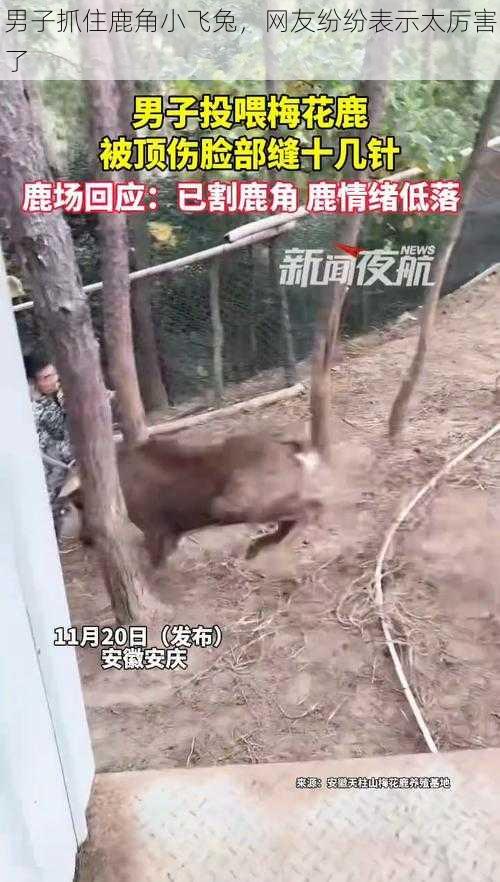 男子抓住鹿角小飞兔，网友纷纷表示太厉害了