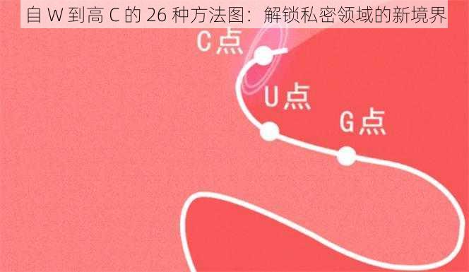 自 W 到高 C 的 26 种方法图：解锁私密领域的新境界