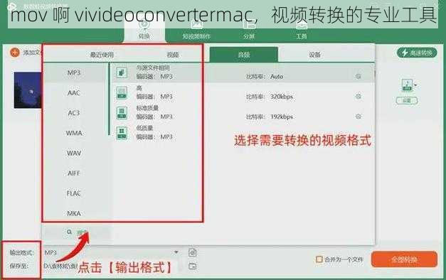 mov 啊 vivideoconvertermac，视频转换的专业工具