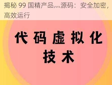 揭秘 99 国精产品灬源码：安全加密，高效运行