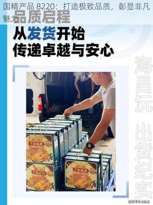 国精产品 8220：打造极致品质，彰显非凡魅力