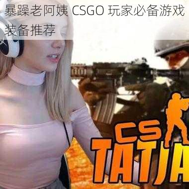 暴躁老阿姨 CSGO 玩家必备游戏装备推荐