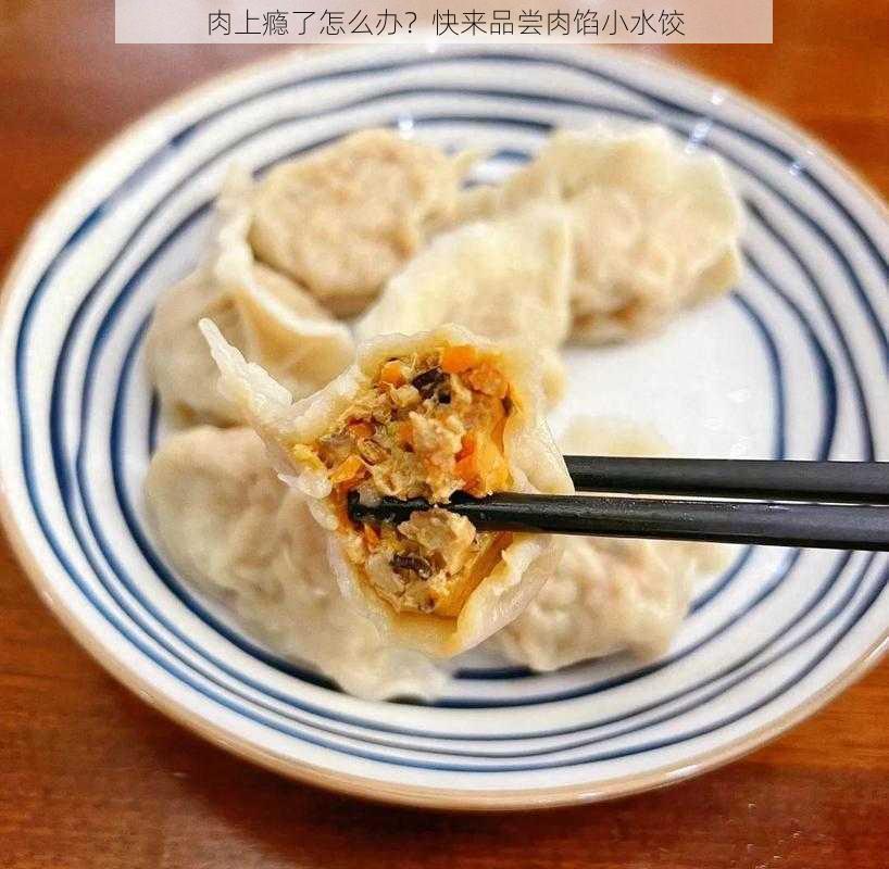 肉上瘾了怎么办？快来品尝肉馅小水饺