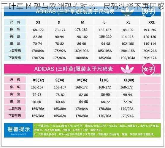 三叶草 M 码与欧洲码的对比：尺码选择不再困惑