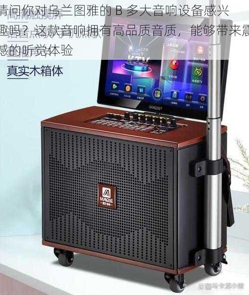 请问你对乌兰图雅的 B 多大音响设备感兴趣吗？这款音响拥有高品质音质，能够带来震撼的听觉体验