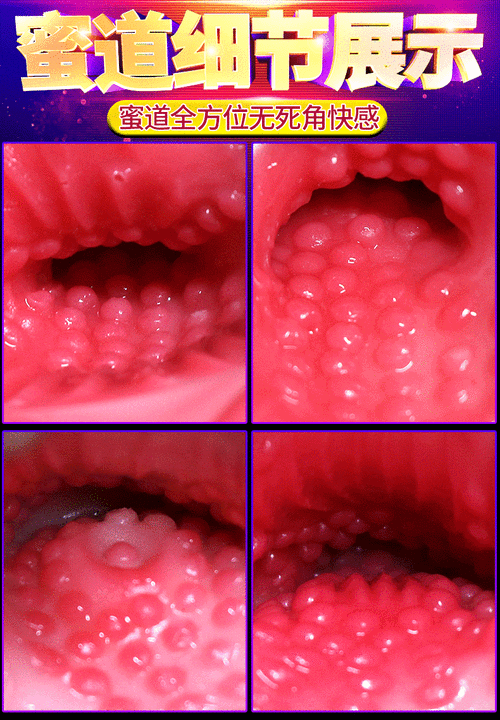 人 C 交 ZO○ZOXX 全国：一款专注于高品质性体验的成人用品