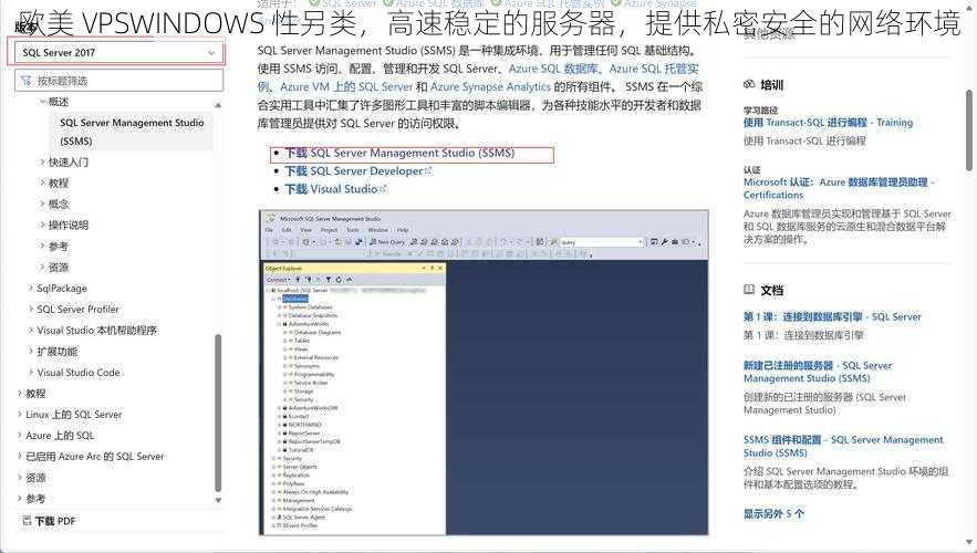 欧美 VPSWINDOWS 性另类，高速稳定的服务器，提供私密安全的网络环境