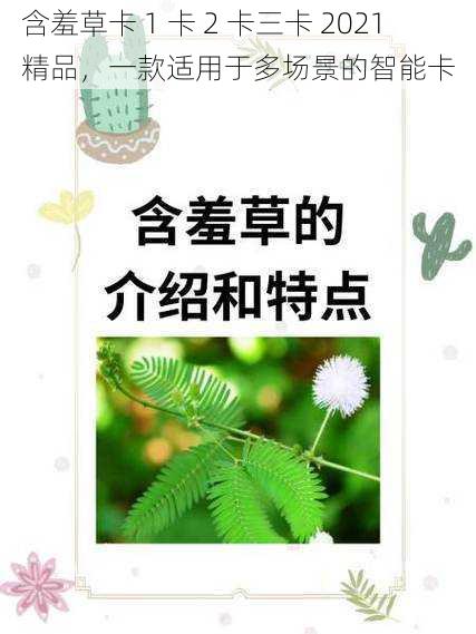 含羞草卡 1 卡 2 卡三卡 2021 精品，一款适用于多场景的智能卡