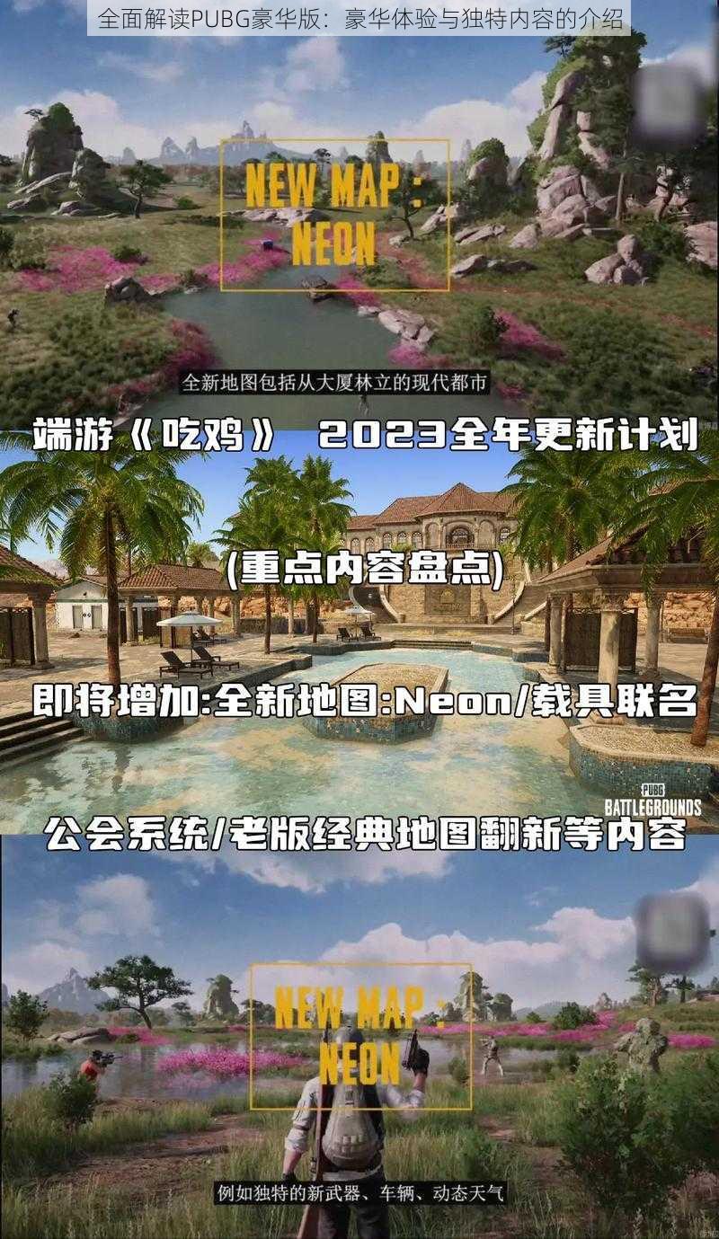 全面解读PUBG豪华版：豪华体验与独特内容的介绍