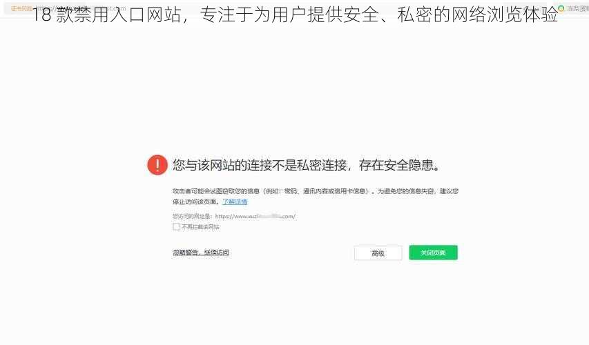 18 款禁用入口网站，专注于为用户提供安全、私密的网络浏览体验