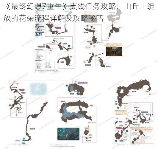 《最终幻想7重生》支线任务攻略：山丘上绽放的花朵流程详解及攻略秘籍