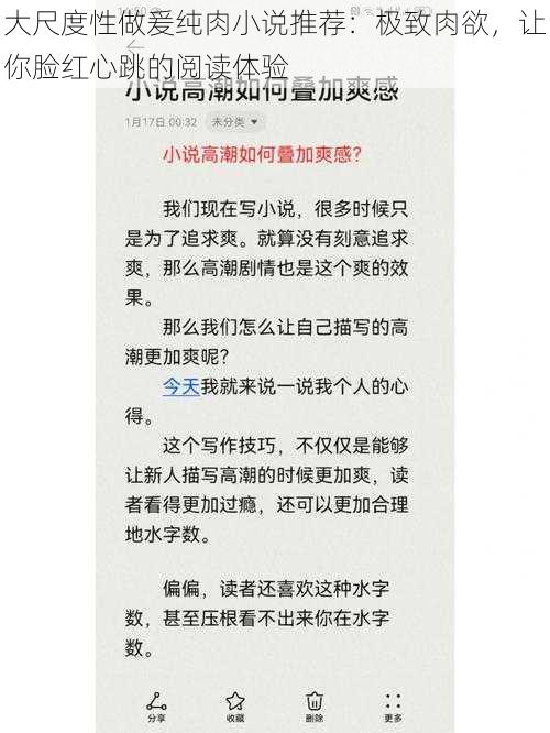 大尺度性做爰纯肉小说推荐：极致肉欲，让你脸红心跳的阅读体验