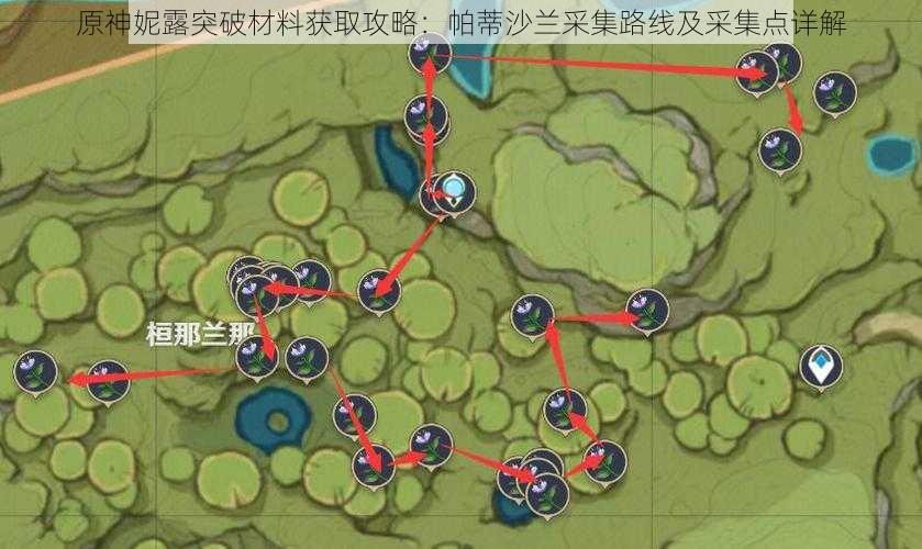 原神妮露突破材料获取攻略：帕蒂沙兰采集路线及采集点详解