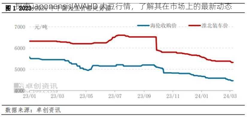 探索 japonensisJAVAHD 大豆行情，了解其在市场上的最新动态