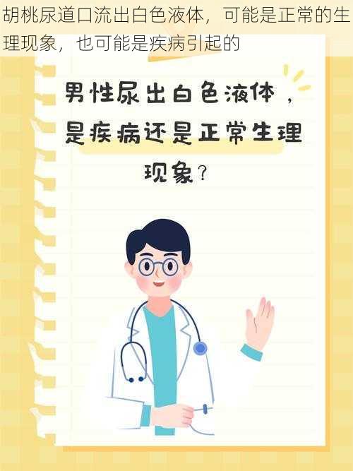 胡桃尿道口流出白色液体，可能是正常的生理现象，也可能是疾病引起的