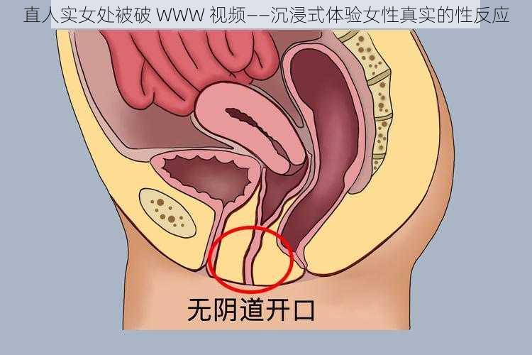 直人实女处被破 WWW 视频——沉浸式体验女性真实的性反应