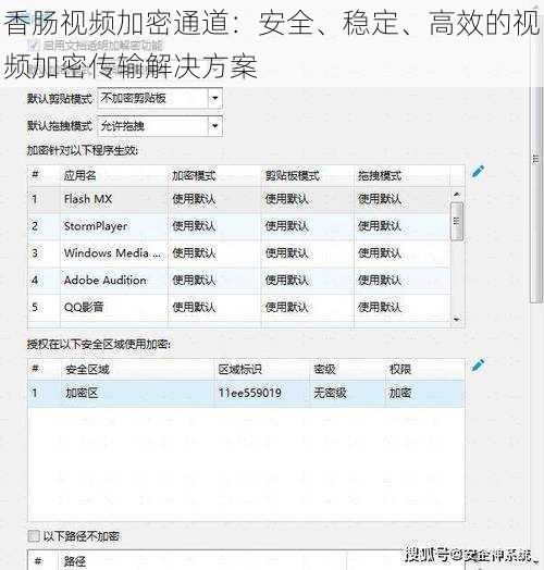 香肠视频加密通道：安全、稳定、高效的视频加密传输解决方案