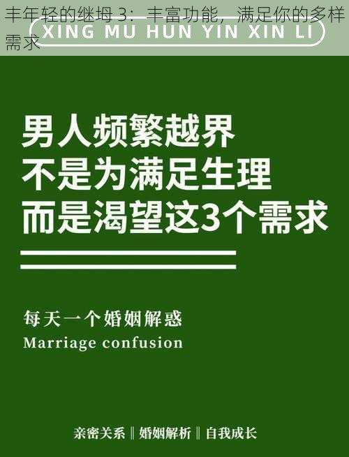 丰年轻的继坶 3：丰富功能，满足你的多样需求