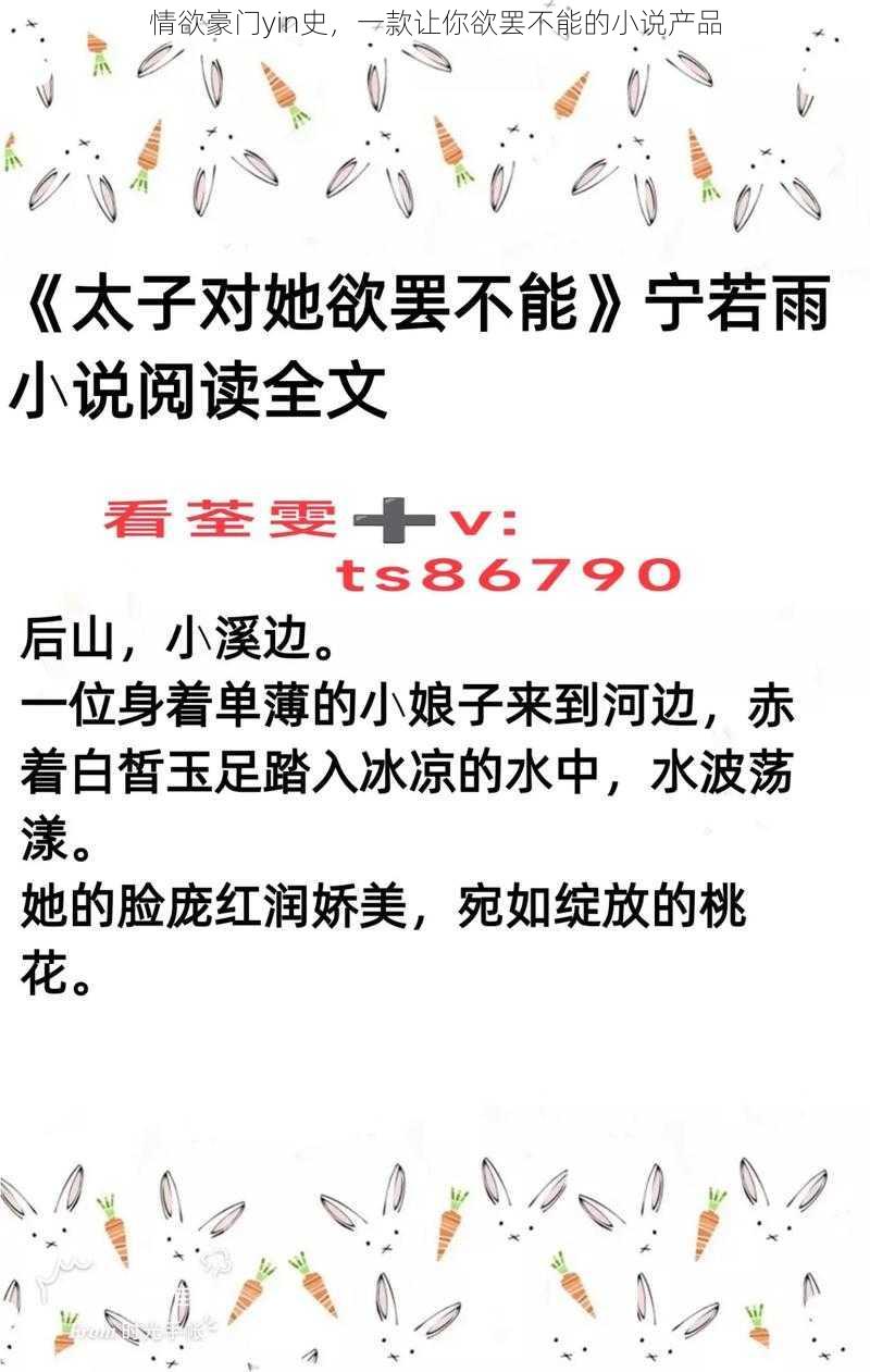 情欲豪门yin史，一款让你欲罢不能的小说产品