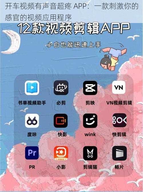 开车视频有声音超疼 APP：一款刺激你的感官的视频应用程序