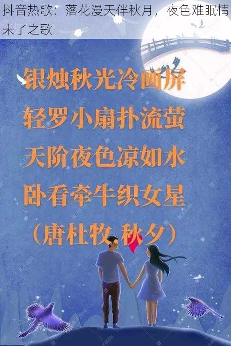 抖音热歌：落花漫天伴秋月，夜色难眠情未了之歌