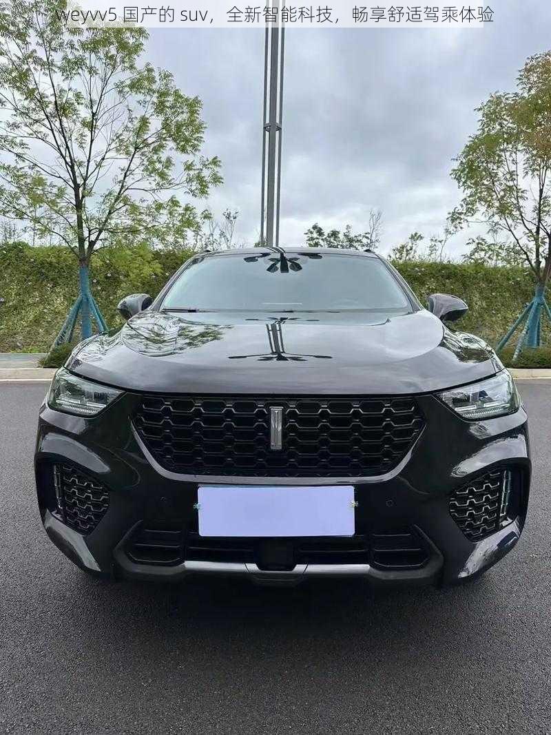 weyvv5 国产的 suv，全新智能科技，畅享舒适驾乘体验