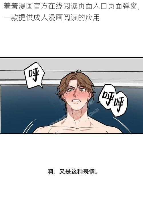 羞羞漫画官方在线阅读页面入口页面弹窗，一款提供成人漫画阅读的应用