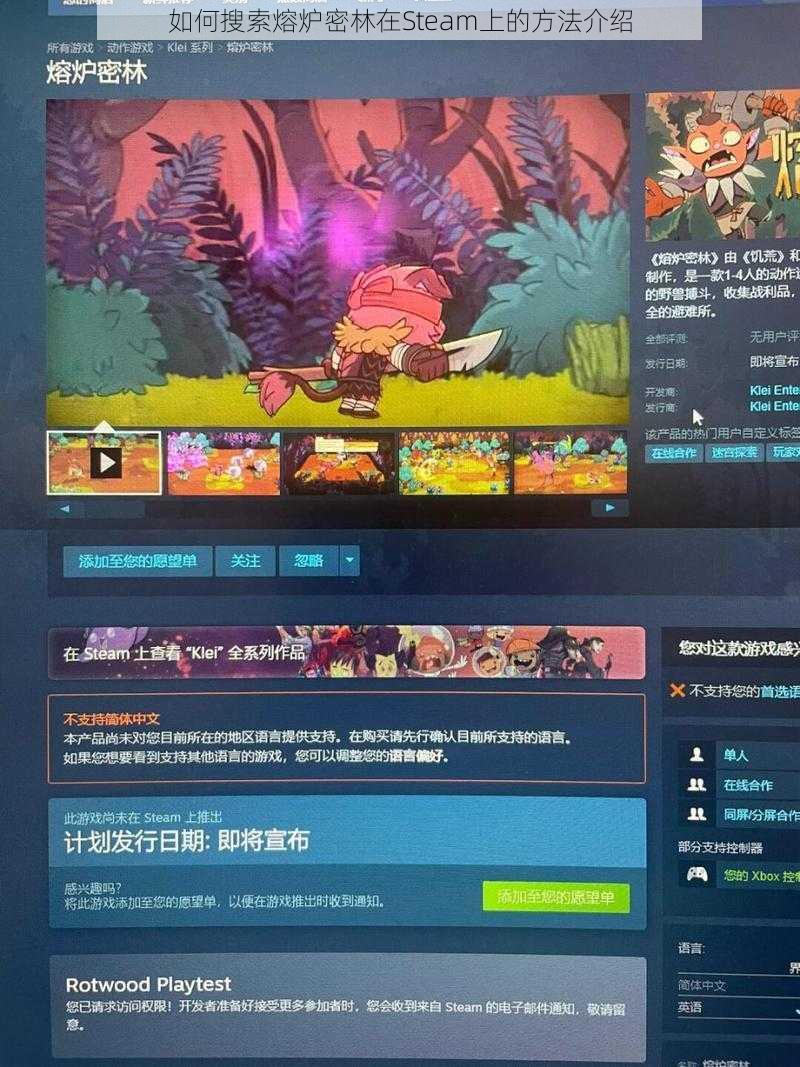 如何搜索熔炉密林在Steam上的方法介绍