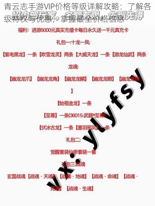 青云志手游VIP价格等级详解攻略：了解各级特权与优惠，掌握最全价格信息