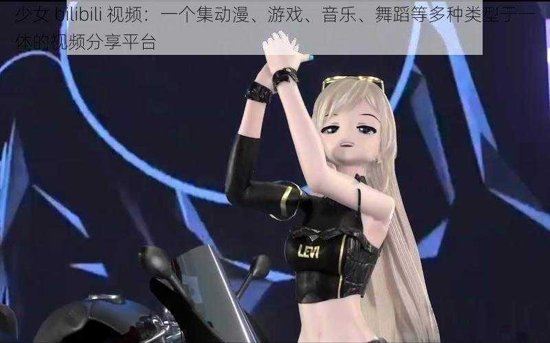 少女 bilibili 视频：一个集动漫、游戏、音乐、舞蹈等多种类型于一体的视频分享平台