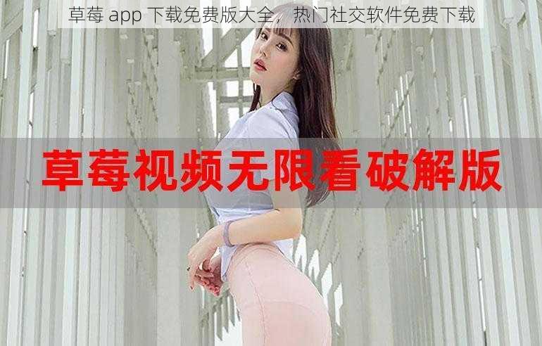 草莓 app 下载免费版大全，热门社交软件免费下载