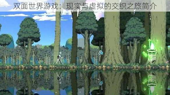 双面世界游戏：现实与虚拟的交织之旅简介