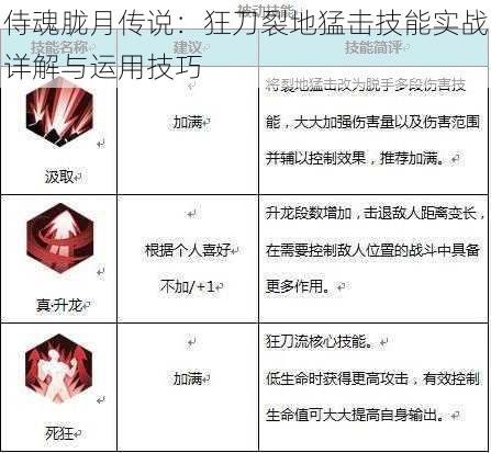 侍魂胧月传说：狂刀裂地猛击技能实战详解与运用技巧