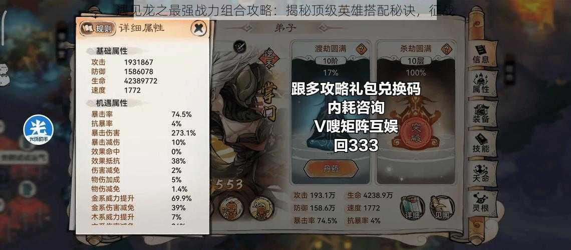 遇见龙之最强战力组合攻略：揭秘顶级英雄搭配秘诀，征战