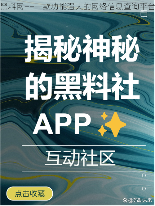 黑料网——一款功能强大的网络信息查询平台