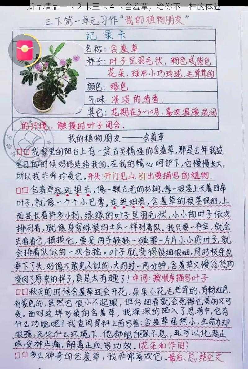 新品精品一卡 2 卡三卡 4 卡含羞草，给你不一样的体验