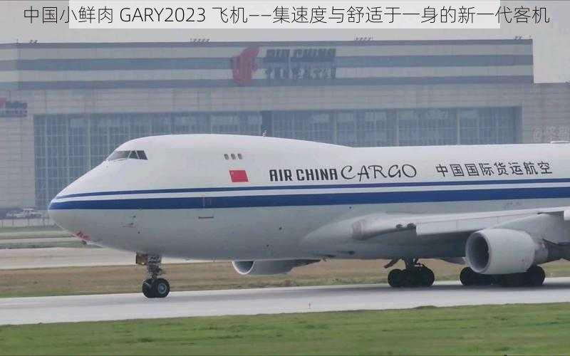 中国小鲜肉 GARY2023 飞机——集速度与舒适于一身的新一代客机