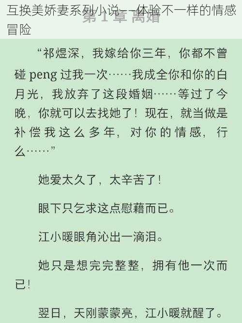 互换美娇妻系列小说——体验不一样的情感冒险