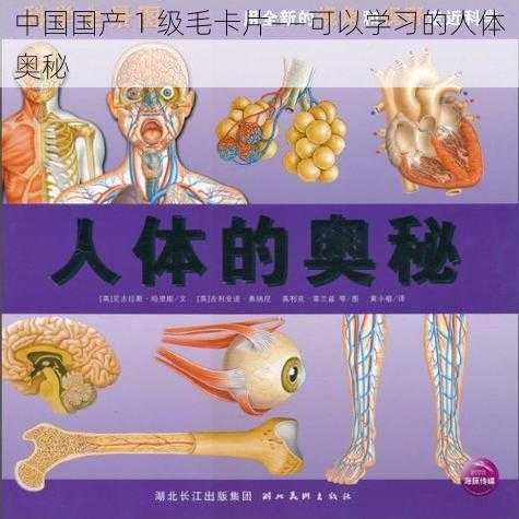 中国国产 1 级毛卡片——可以学习的人体奥秘