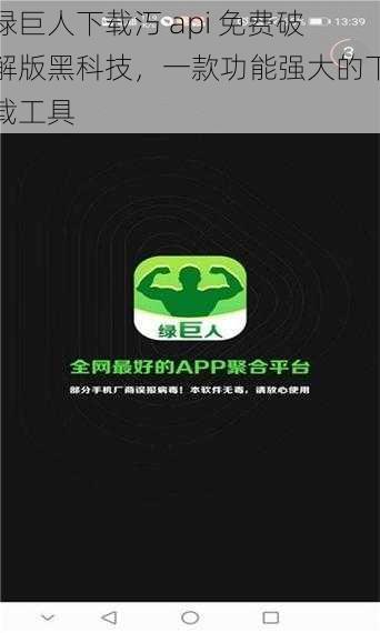 绿巨人下载汅 api 免费破解版黑科技，一款功能强大的下载工具