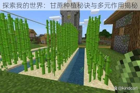 探索我的世界：甘蔗种植秘诀与多元作用揭秘