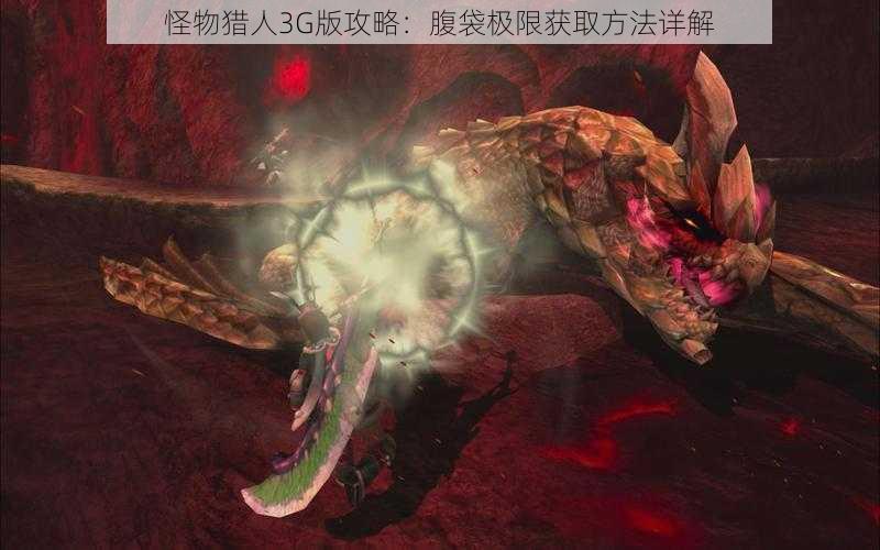 怪物猎人3G版攻略：腹袋极限获取方法详解