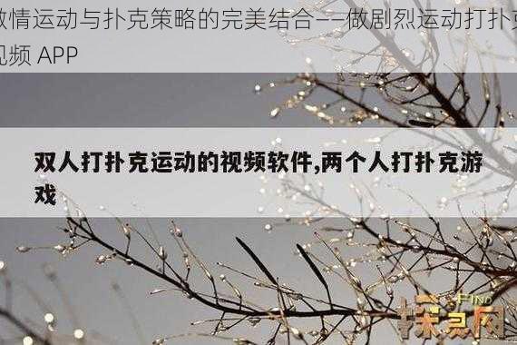 激情运动与扑克策略的完美结合——做剧烈运动打扑克视频 APP