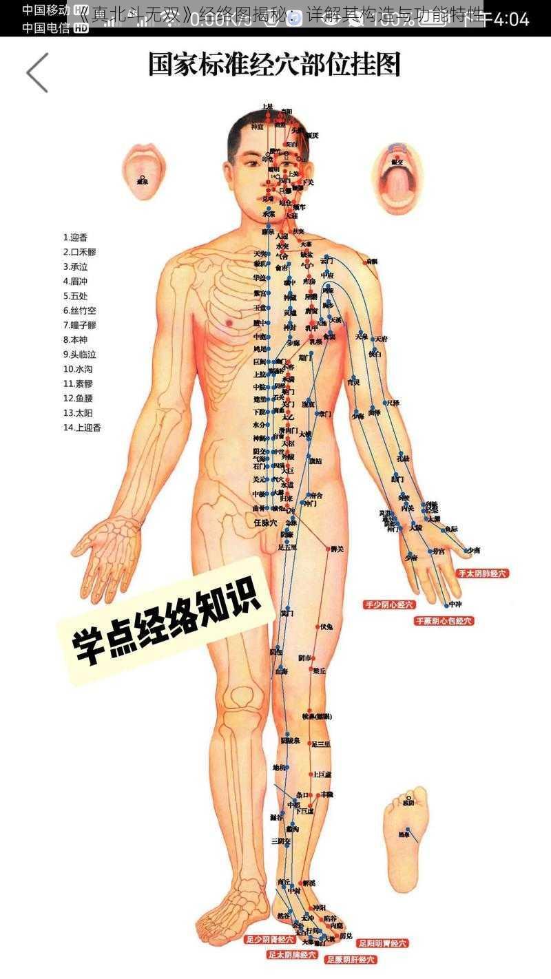 《真北斗无双》经络图揭秘：详解其构造与功能特性