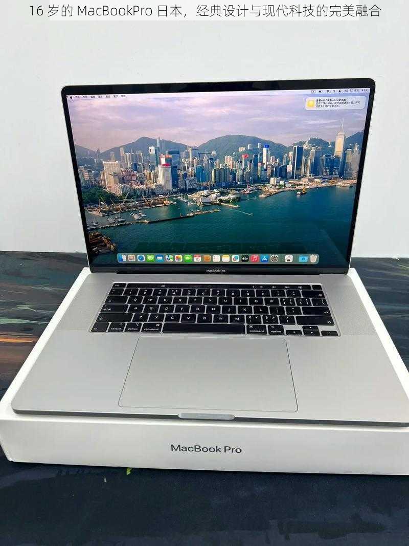 16 岁的 MacBookPro 日本，经典设计与现代科技的完美融合