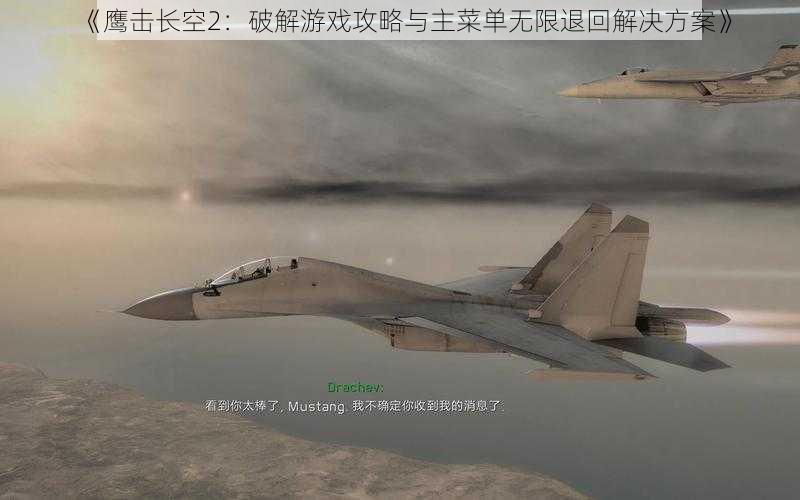 《鹰击长空2：破解游戏攻略与主菜单无限退回解决方案》