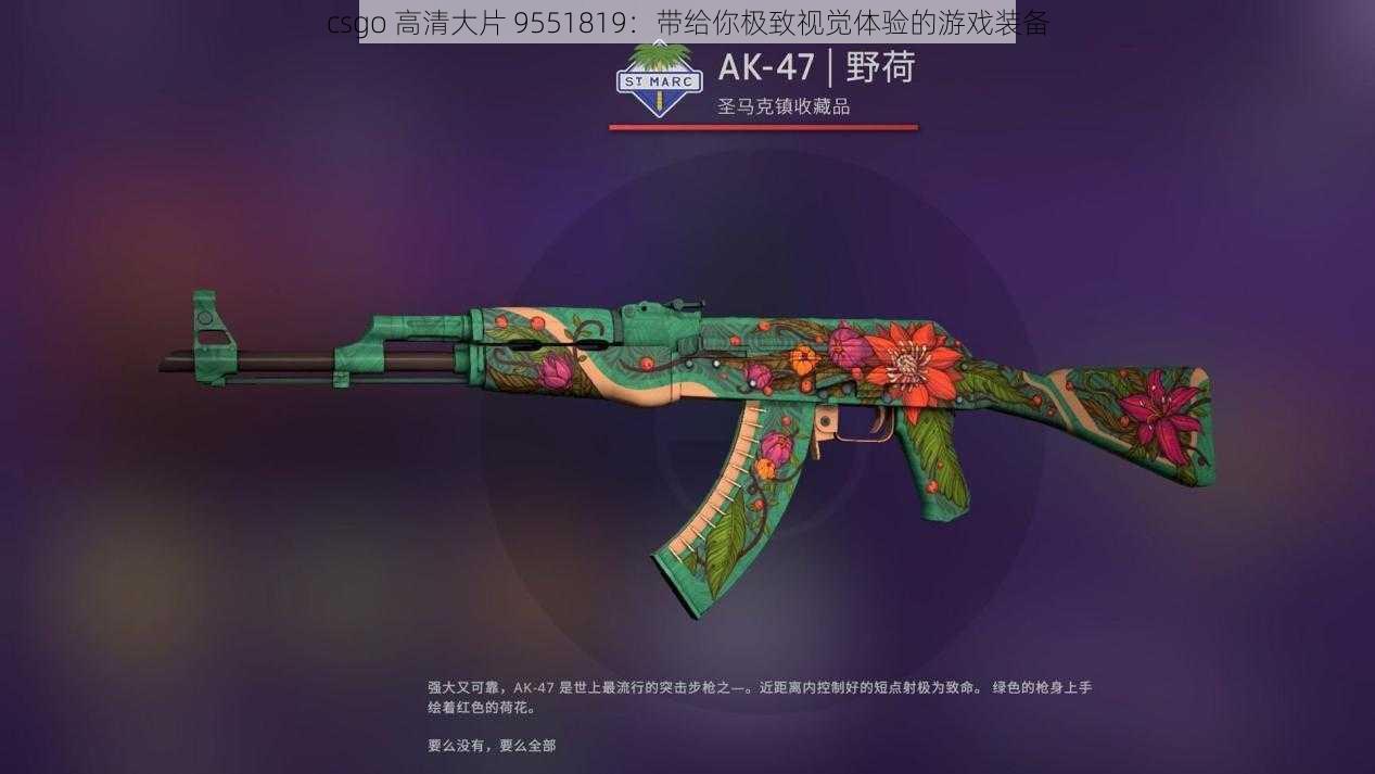 csgo 高清大片 9551819：带给你极致视觉体验的游戏装备