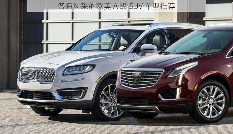 各有风采的欧美 A 级 SUV 车型推荐