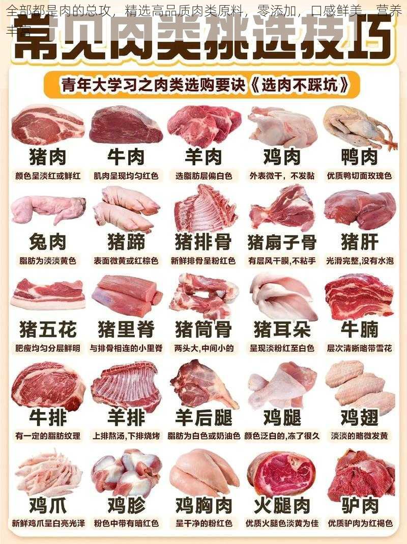 全部都是肉的总攻，精选高品质肉类原料，零添加，口感鲜美，营养丰富