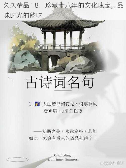 久久精品 18：珍藏十八年的文化瑰宝，品味时光的韵味